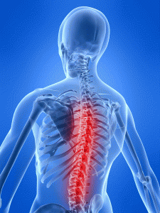 back pain scan